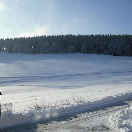 Apartment Sonnenschein Braunlage Exterior photo