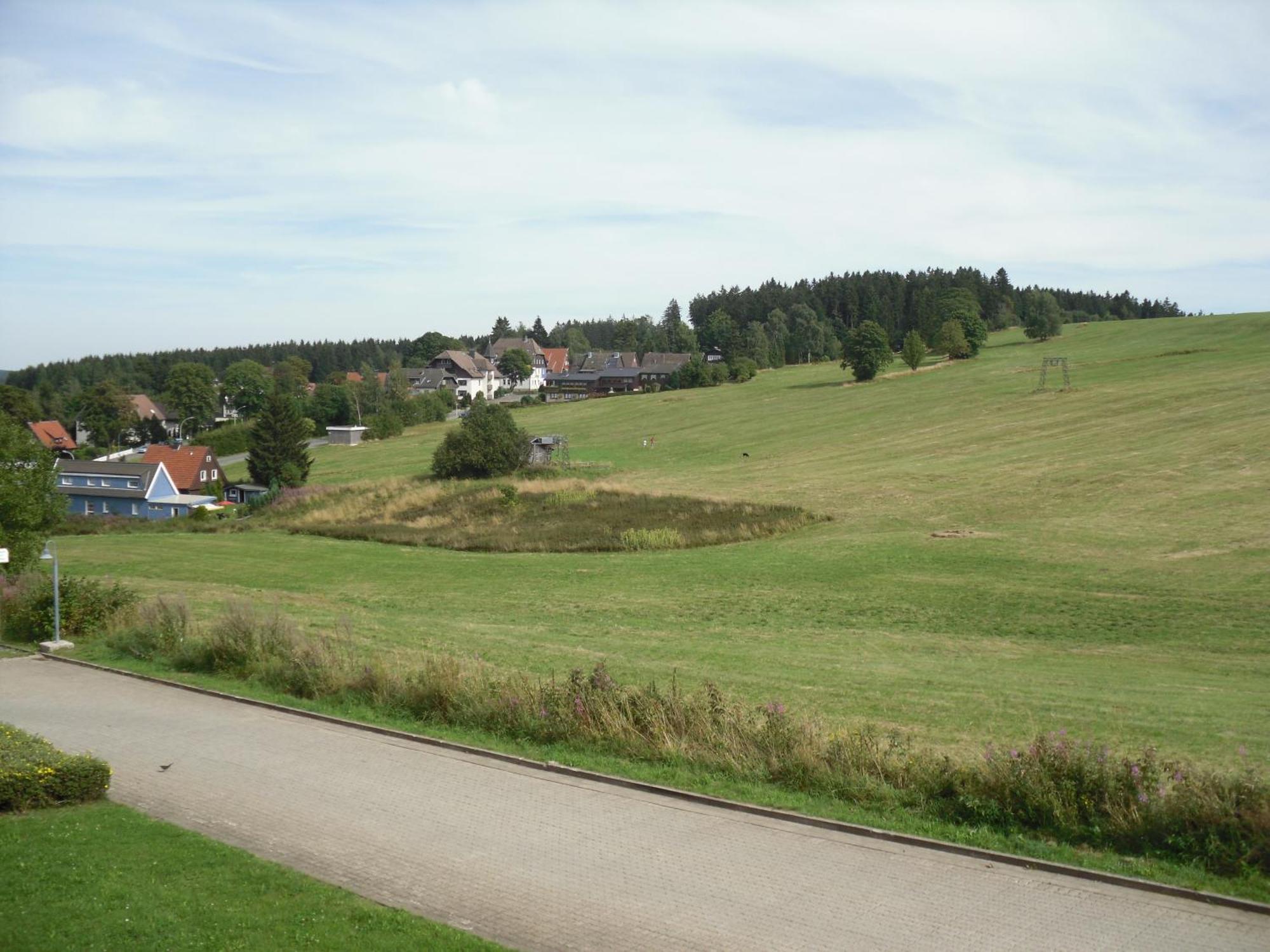 Apartment Sonnenschein Braunlage Exterior photo