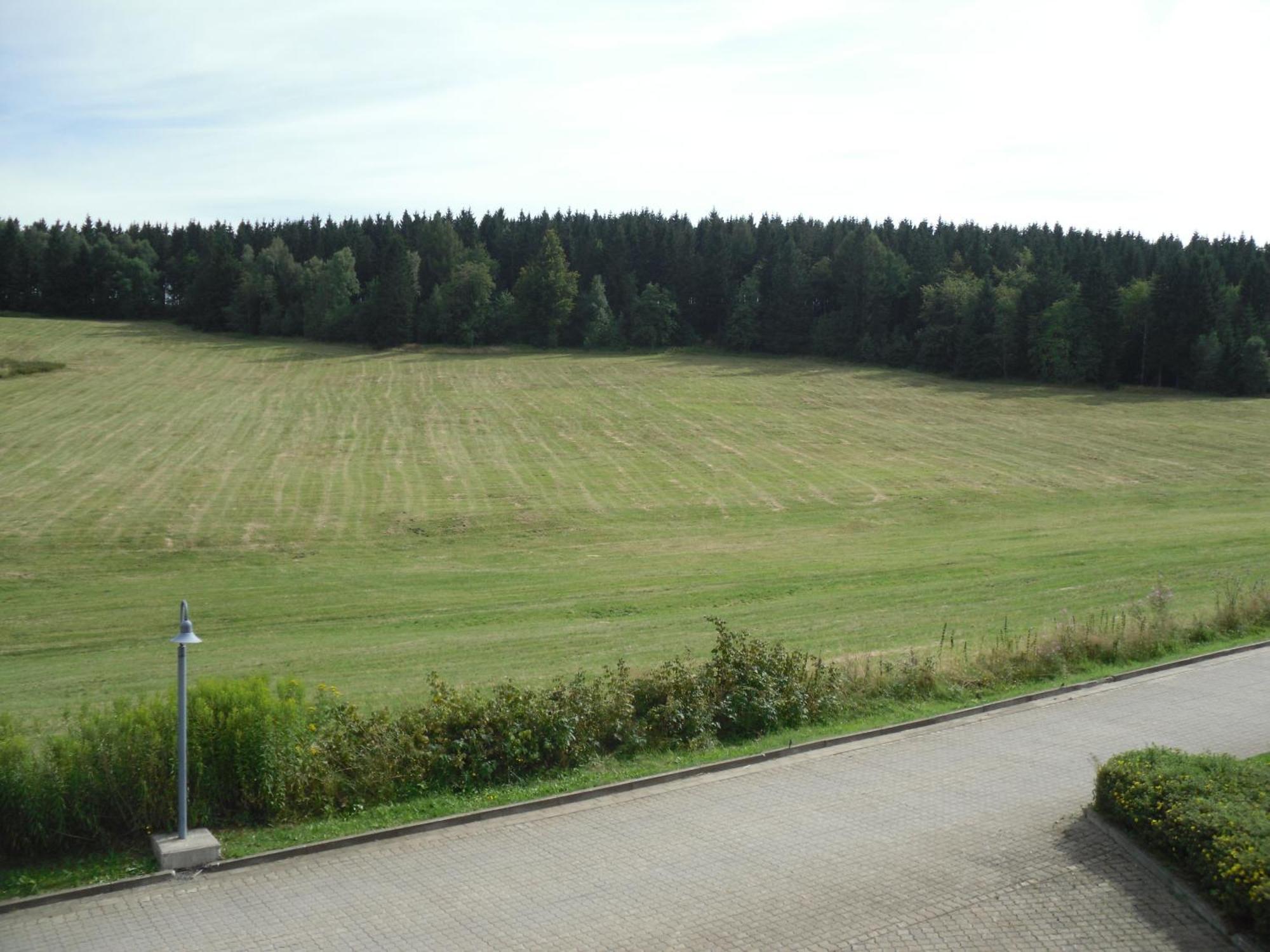 Apartment Sonnenschein Braunlage Exterior photo
